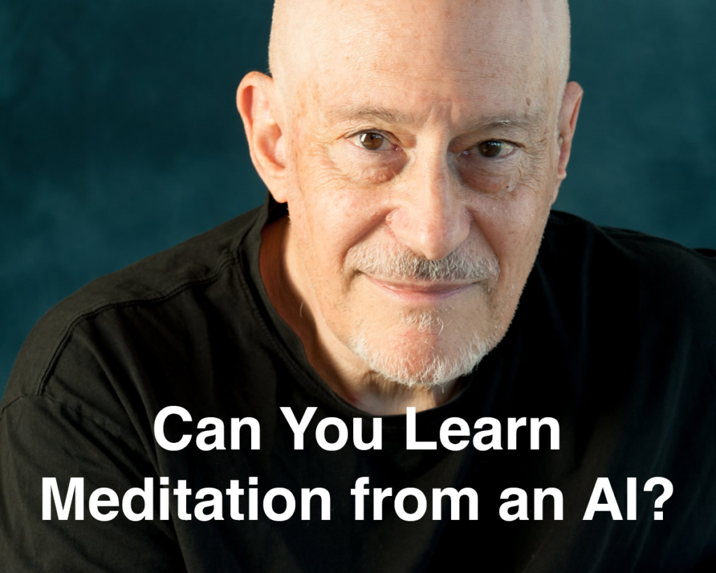 Can You Study Meditation from an AI? – with Shinzen Younger