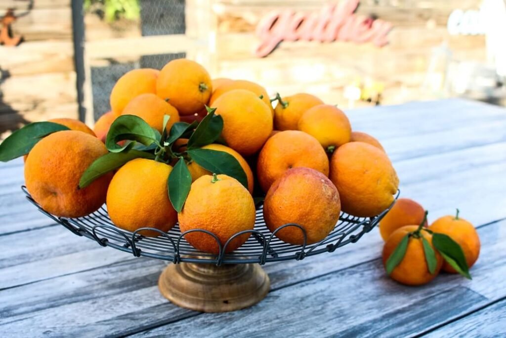 Vibrant Citrus Well being Advantages + Citrus Recipes