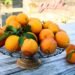 Vibrant Citrus Well being Advantages + Citrus Recipes