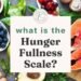 What’s the starvation fullness scale?